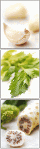 terapi-herbal-hipertensi1