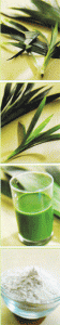 kue-talam1