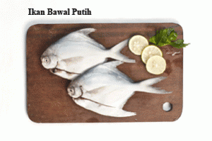 ikan-bawal-putih