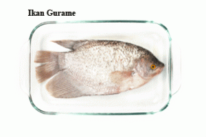 ikan-gurame