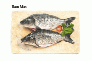 ikan-mas