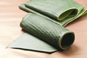daun-pisang-batu