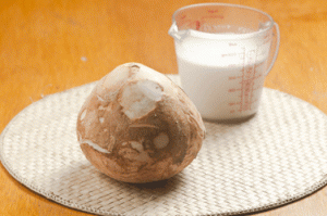 kelapa-santan