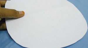 perca-5