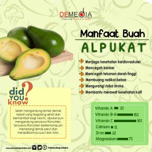 infografis alpukat