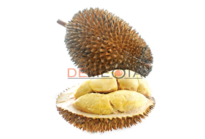 Tip Memilih Durian Matang